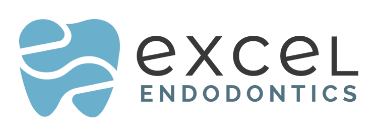 Xlend top full color